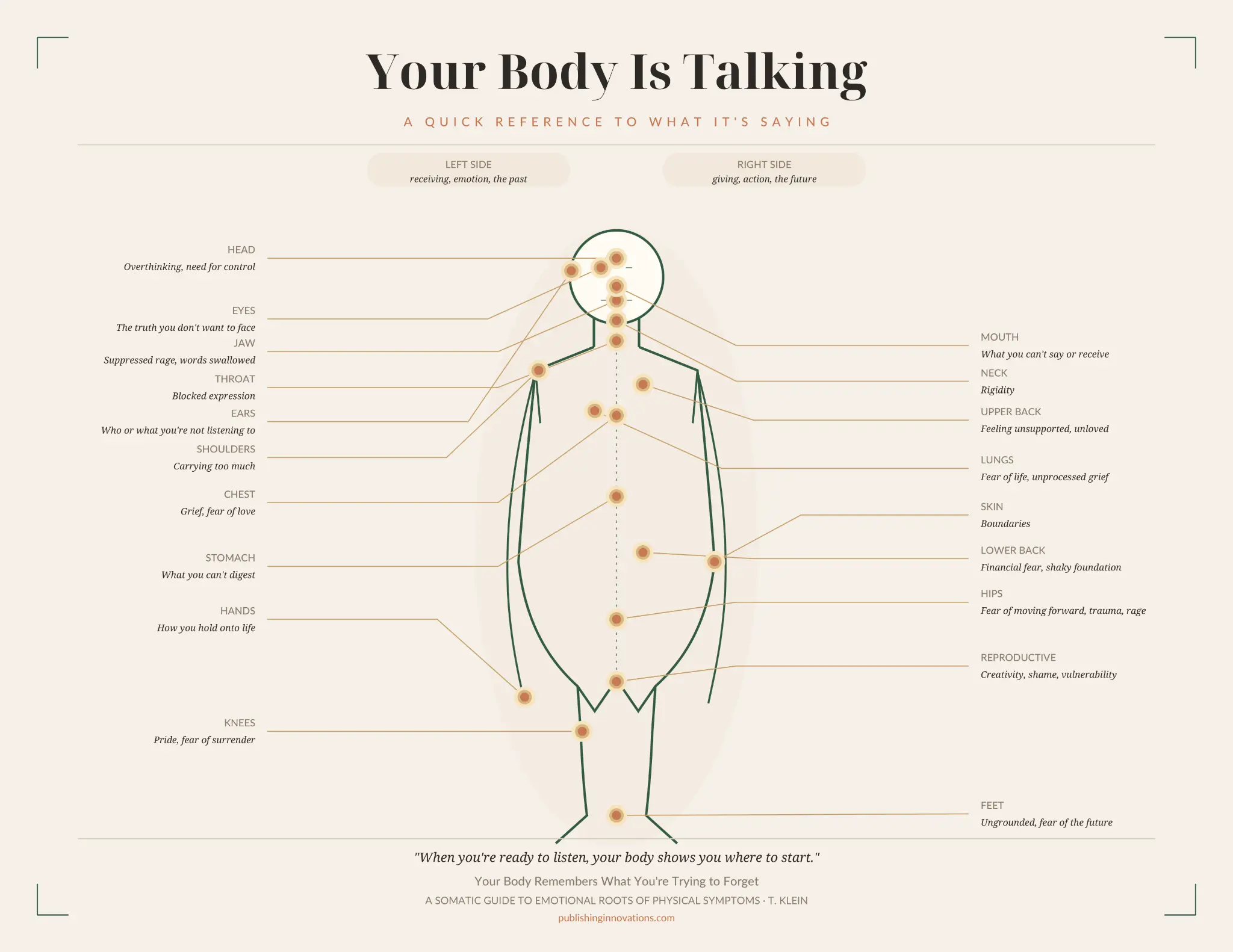 Body Map Reference Sheet Preview